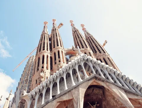 Innenraum der Sagrada Familia Skip-the-Line Führung mit baumartigen Säulen