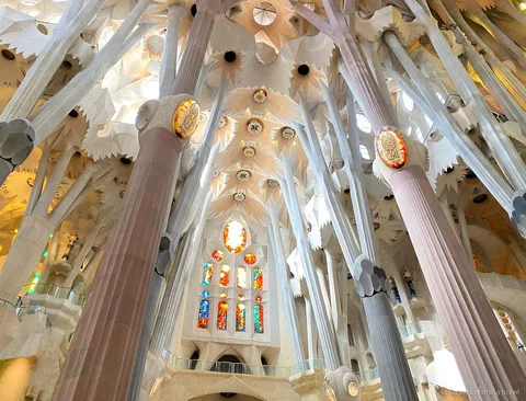 Gaudí houses and Sagrada Familia full-day tour overview