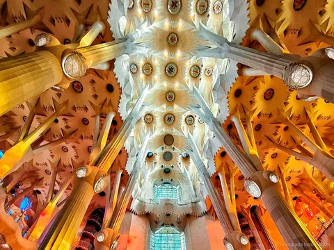 Architect guide leading a private Sagrada Familia tour