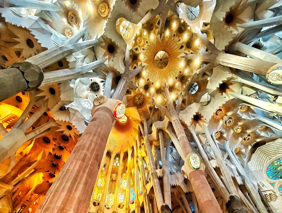 Structural columns explained on the Sagrada Familia private architect tour