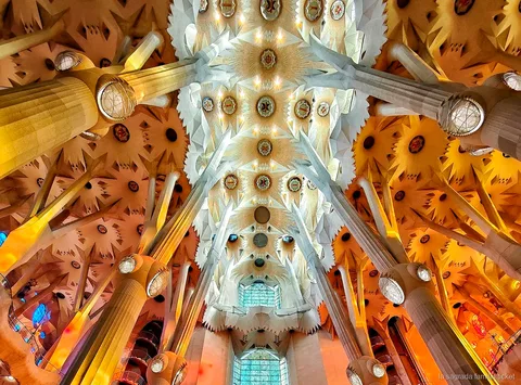 Architect-gids leidt een privétour door de Sagrada Familia