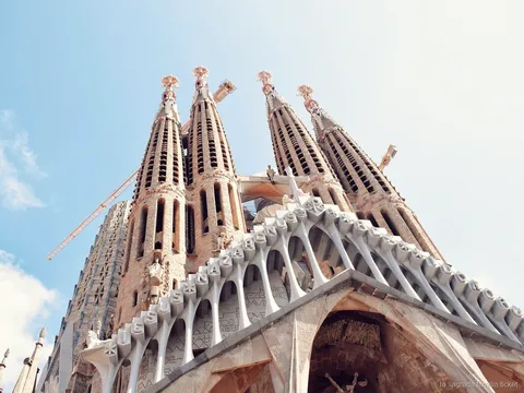 Interieur van de Sagrada Familia skip-the-line rondleiding met boomvormige zuilen