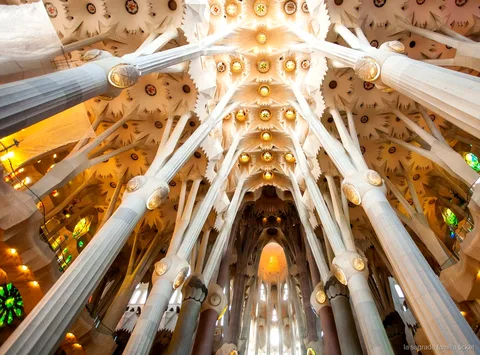 Gids leidt een Sagrada Familia rondleiding door de basiliek