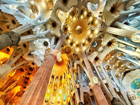 Columnas estructurales explicadas en la visita privada de arquitecto a la Sagrada Familia