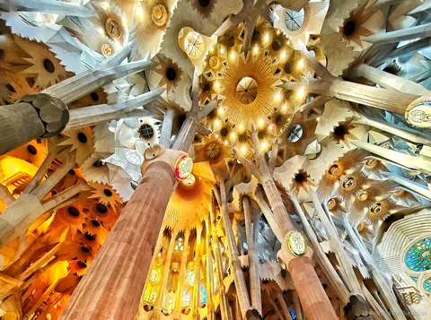 Colonne strutturali spiegate durante la visita privata con architetto alla Sagrada Familia
